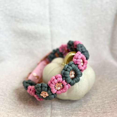 Hundeauslaufgebiet-Frechepfoetchen-Bild