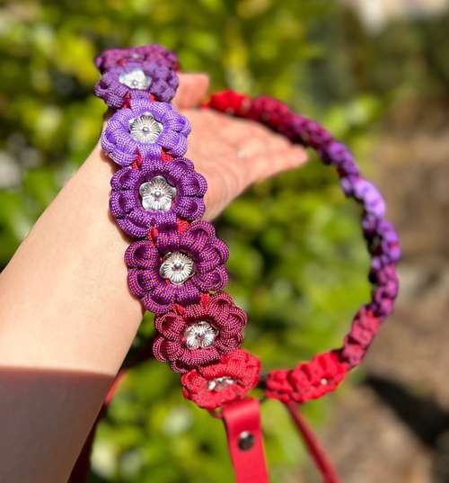 Hundeauslaufgebiet-Frechepfoetchen-Bild