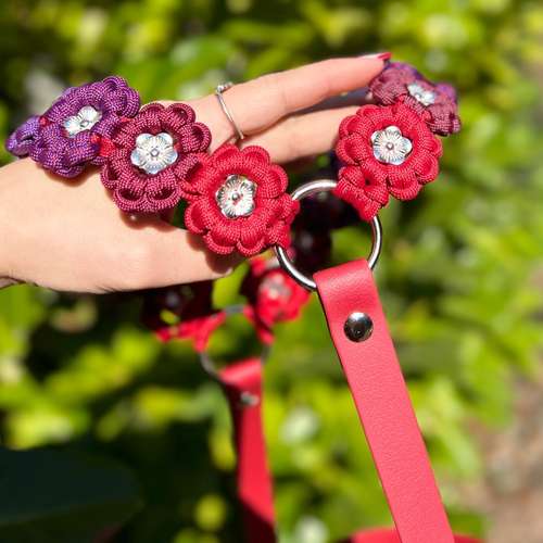 Hundeauslaufgebiet-Frechepfoetchen-Bild