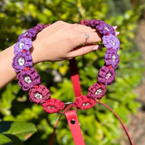 Hundeauslaufgebiet-Frechepfoetchen-Bild