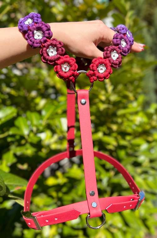 Hundeauslaufgebiet-Frechepfoetchen-Bild