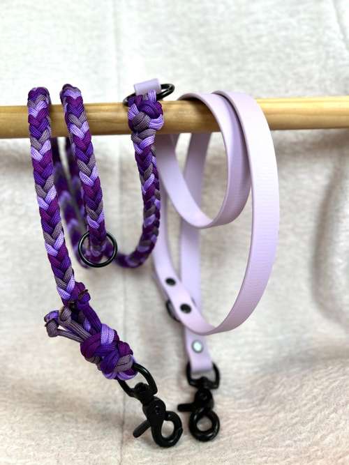 Hundeauslaufgebiet-Frechepfoetchen-Bild