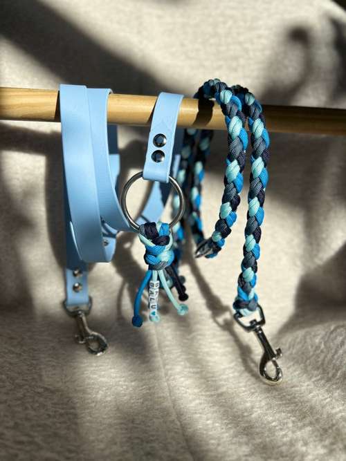 Hundeauslaufgebiet-Frechepfoetchen-Bild