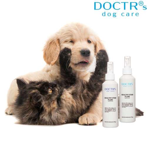 Hundeauslaufgebiet-DOCTR's pet care-Bild