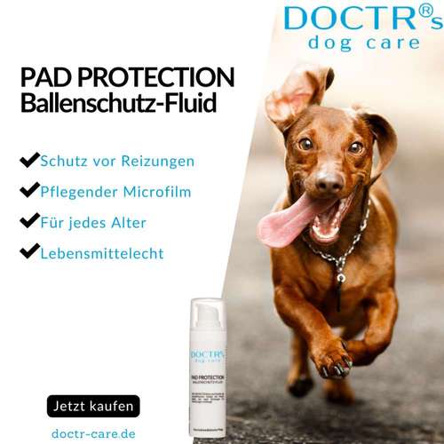 Hundeauslaufgebiet-DOCTR's pet care-Bild