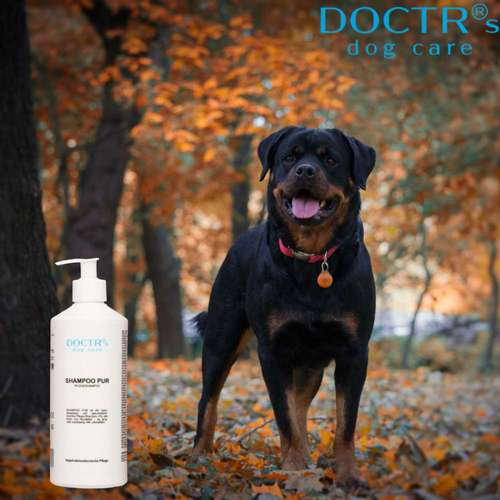 Hundeauslaufgebiet-DOCTR's pet care-Bild