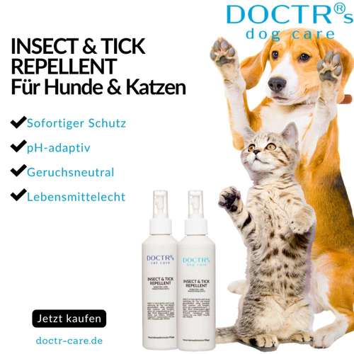 Hundeauslaufgebiet-DOCTR's pet care-Bild