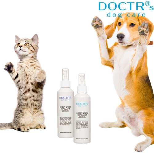 Hundeauslaufgebiet-DOCTR's pet care-Bild