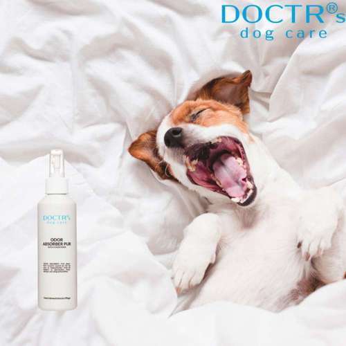 Hundeauslaufgebiet-DOCTR's pet care-Bild