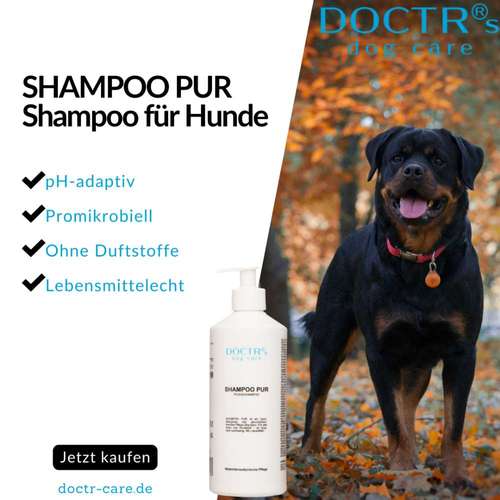 Hundeauslaufgebiet-DOCTR's pet care-Bild