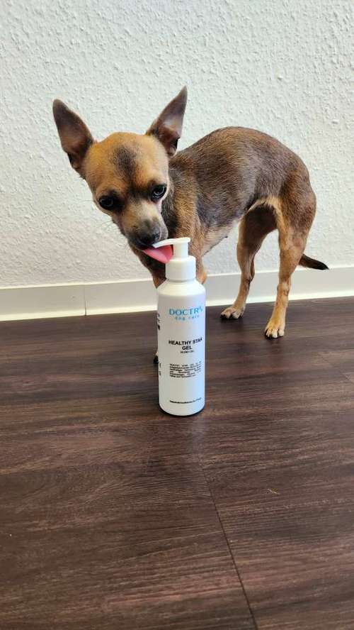 Hundeauslaufgebiet-DOCTR's pet care-Bild