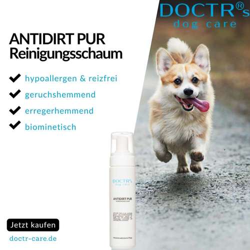 Hundeauslaufgebiet-DOCTR's pet care-Bild