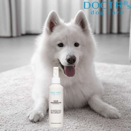 Hundeauslaufgebiet-DOCTR's pet care-Bild