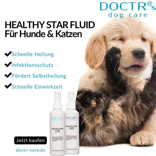 Hundeauslaufgebiet-DOCTR's pet care-Bild