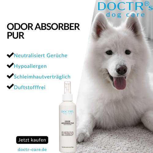 Hundeauslaufgebiet-DOCTR's pet care-Bild