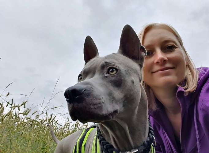 Hundeauslaufgebiet-Hundeschule Hackstuhl -Bild