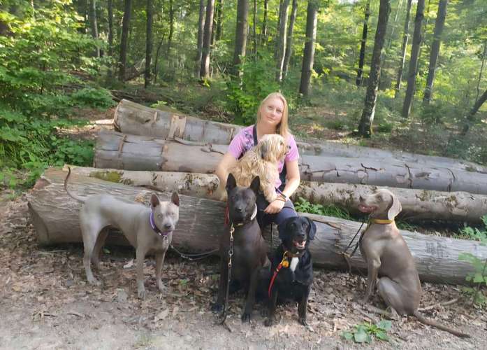 Hundeauslaufgebiet-Hundeschule Hackstuhl -Bild