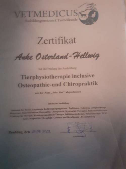 Hundeauslaufgebiet-Mobile Tierphysio Anke Osterland-Bild