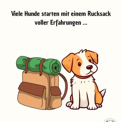 Hundeauslaufgebiet-Hundeschule Völkersweiler-Bild