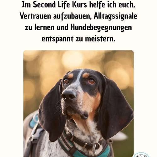 Hundeauslaufgebiet-Hundeschule Völkersweiler-Bild