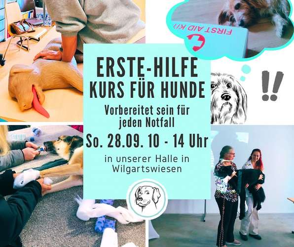Hundeauslaufgebiet-Hundeschule Völkersweiler-Bild