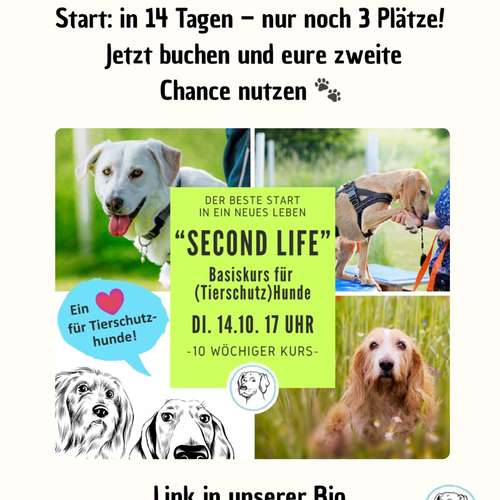 Hundeauslaufgebiet-Hundeschule Völkersweiler-Bild