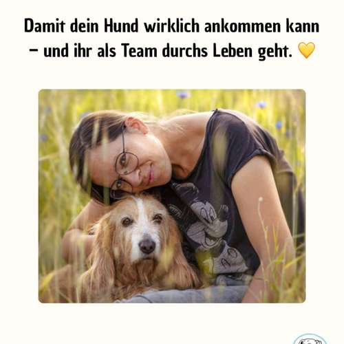 Hundeauslaufgebiet-Hundeschule Völkersweiler-Bild
