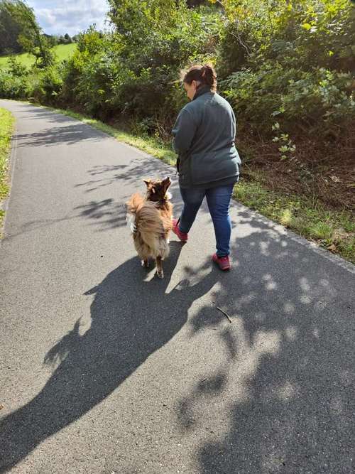 Hundeauslaufgebiet-Clever Canine - Hundeschule Kathrin Klinke-Bild