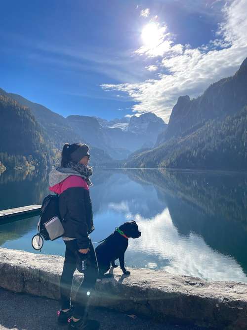 Hundeauslaufgebiet-Ebby’s Pfotenstube-Bild