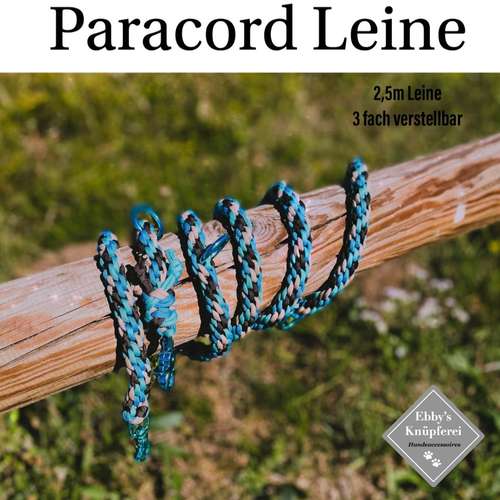 Hundeauslaufgebiet-Ebby’s Pfotenstube-Bild