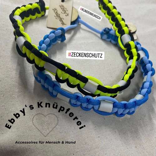 Hundeauslaufgebiet-Ebby’s Pfotenstube-Bild