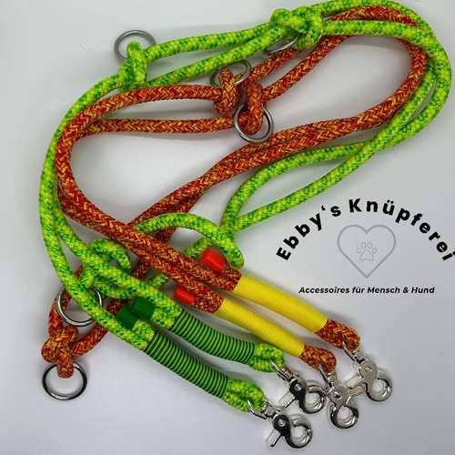 Hundeauslaufgebiet-Ebby’s Pfotenstube-Bild