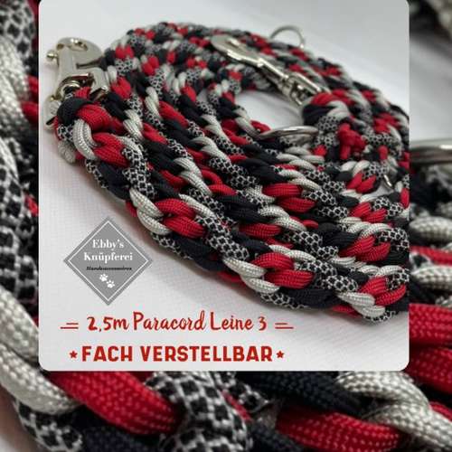 Hundeauslaufgebiet-Ebby’s Pfotenstube-Bild