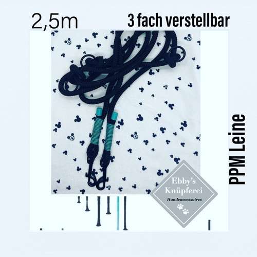 Hundeauslaufgebiet-Ebby’s Pfotenstube-Bild