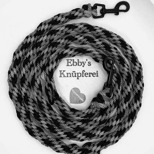 Hundeauslaufgebiet-Ebby’s Pfotenstube-Bild