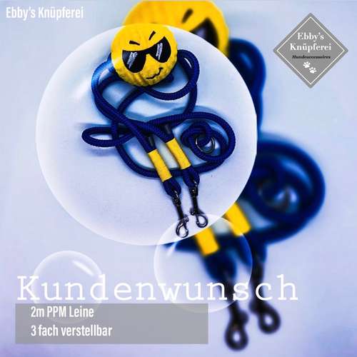 Hundeauslaufgebiet-Ebby’s Pfotenstube-Bild