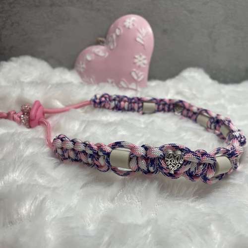 Hundeauslaufgebiet-Ebby’s Pfotenstube-Bild