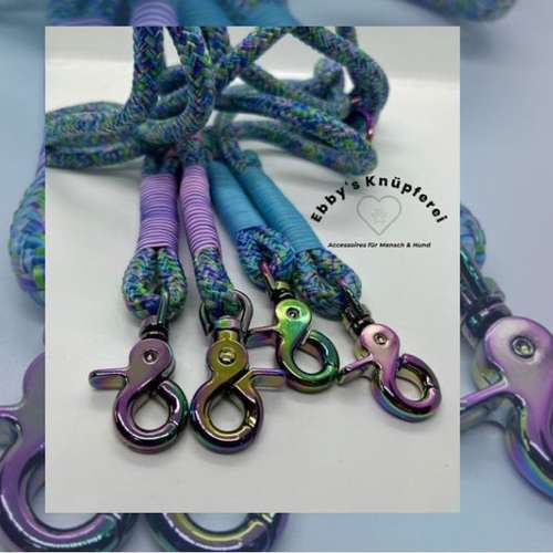 Hundeauslaufgebiet-Ebby’s Pfotenstube-Bild