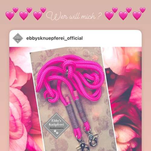 Hundeauslaufgebiet-Ebby’s Pfotenstube-Bild