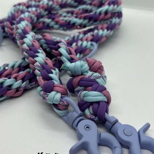 Hundeauslaufgebiet-Ebby’s Pfotenstube-Bild