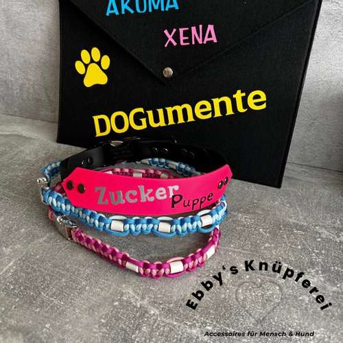 Hundeauslaufgebiet-Ebby’s Pfotenstube-Bild