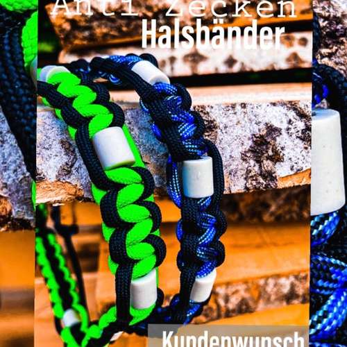 Hundeauslaufgebiet-Ebby’s Pfotenstube-Bild