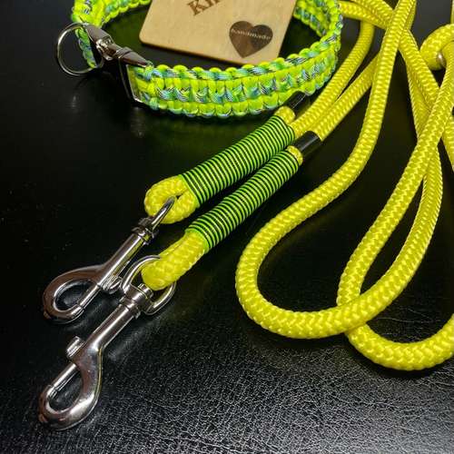 Hundeauslaufgebiet-Ebby’s Pfotenstube-Bild