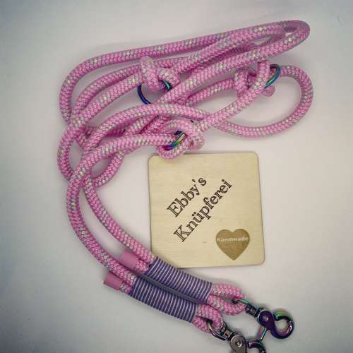 Hundeauslaufgebiet-Ebby’s Pfotenstube-Bild