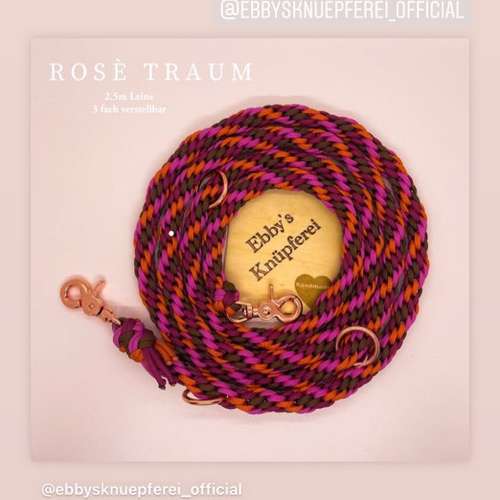 Hundeauslaufgebiet-Ebby’s Pfotenstube-Bild