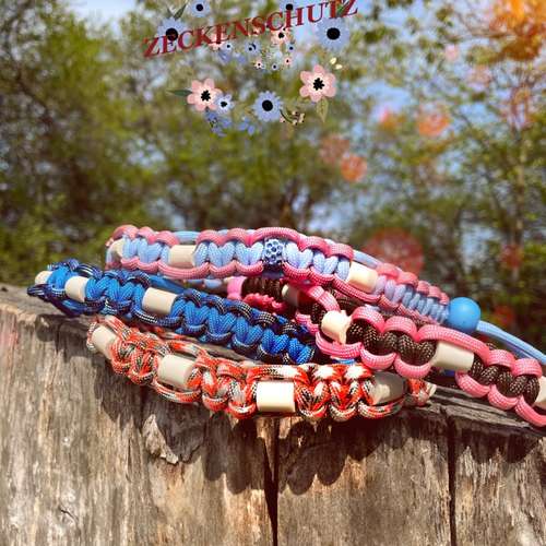 Hundeauslaufgebiet-Ebby’s Pfotenstube-Bild