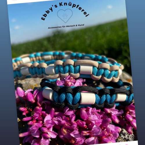 Hundeauslaufgebiet-Ebby’s Pfotenstube-Bild