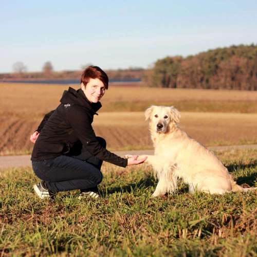 Hundeauslaufgebiet-Vertrauenshunde-Bild