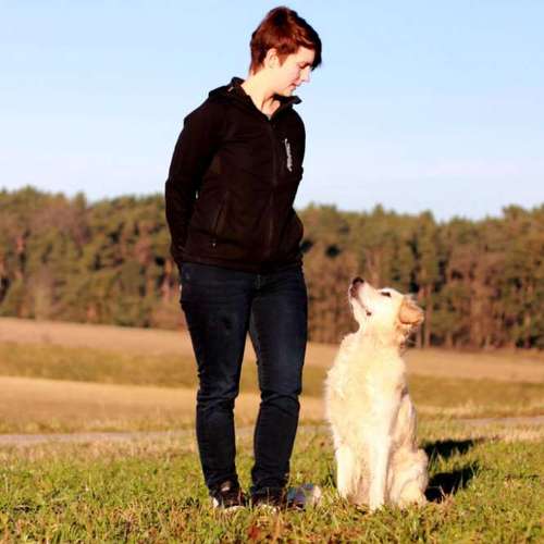 Hundeauslaufgebiet-Vertrauenshunde-Bild