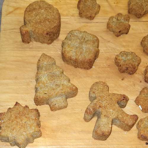 Hundeauslaufgebiet-Dogs Comfort (Julia Jochen)-Bild